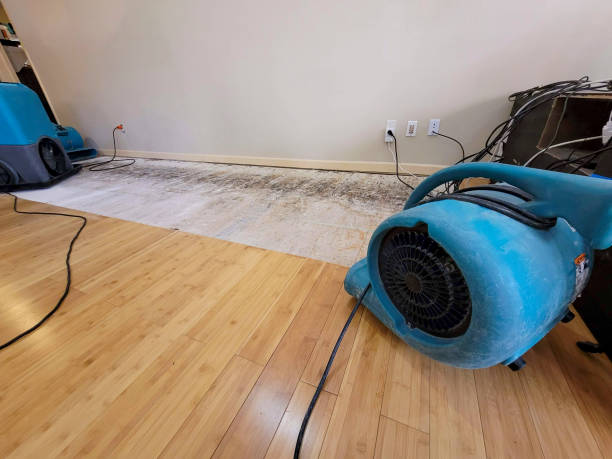 Reliable Basement Flood Cleanup contractor in Whitehouse Station, NJ by Hirex Water Damage
