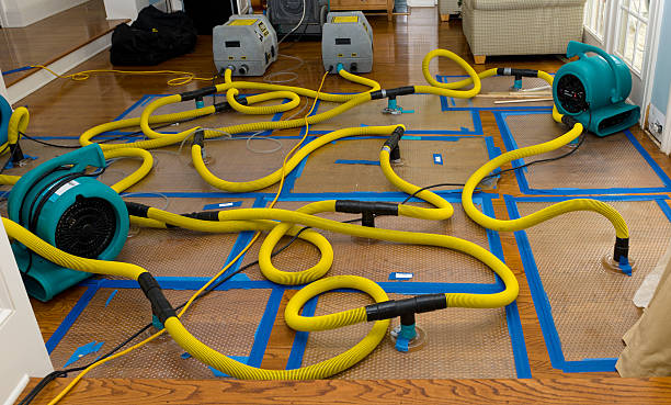 Professional Basement Flood Cleanup technician working in Whitehouse Station, NJ